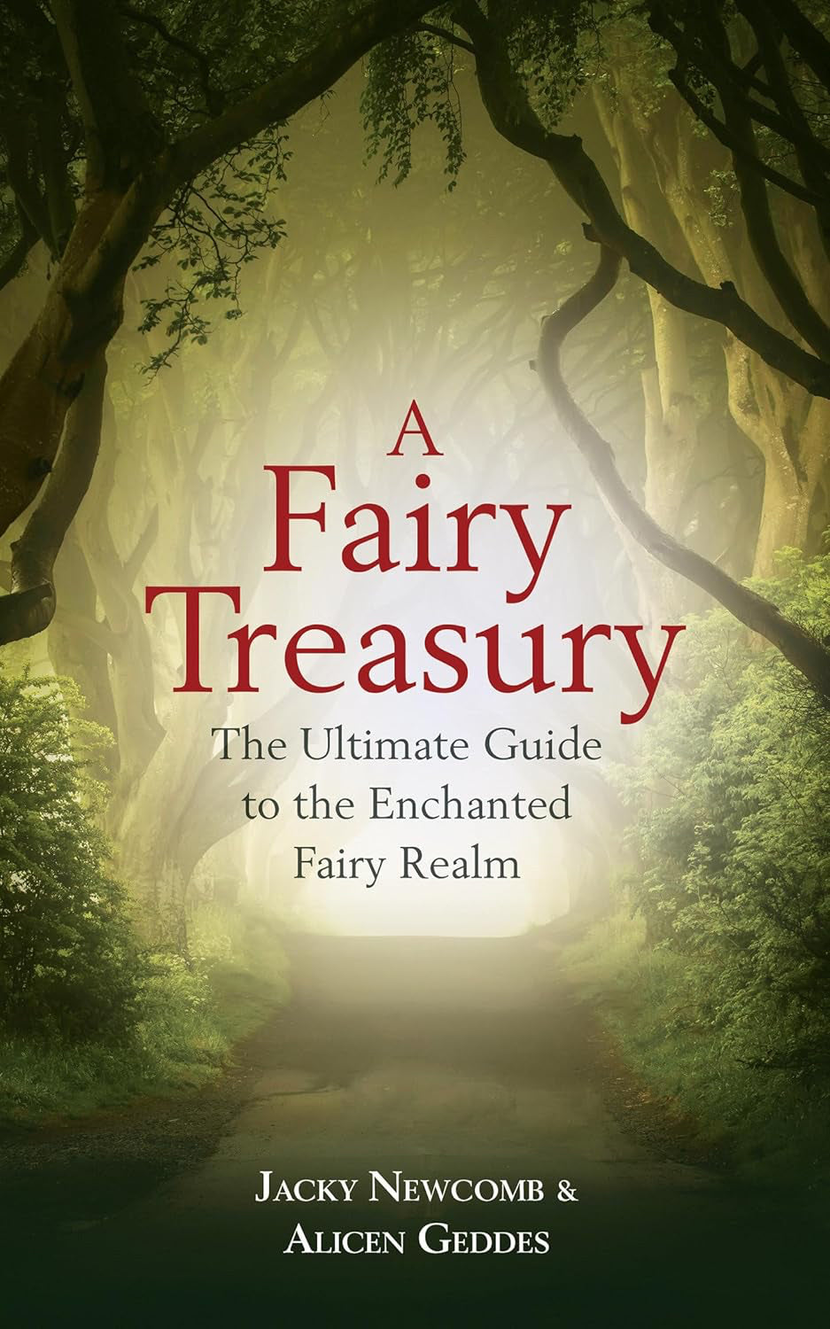 A Fairy Treasury: The Ultimate Guide to the Enchanted Fairy Realm Paperback by Jacky Newcomb and Alicen Geddes  £2 OFF RRP