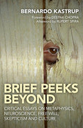 RARE - ORIGINAL COVER: Brief Peeks Beyond: Critical essays on metaphysics, neuroscience, free will, skepticism and culture (Paperback)  by Bernardo Kastrup
