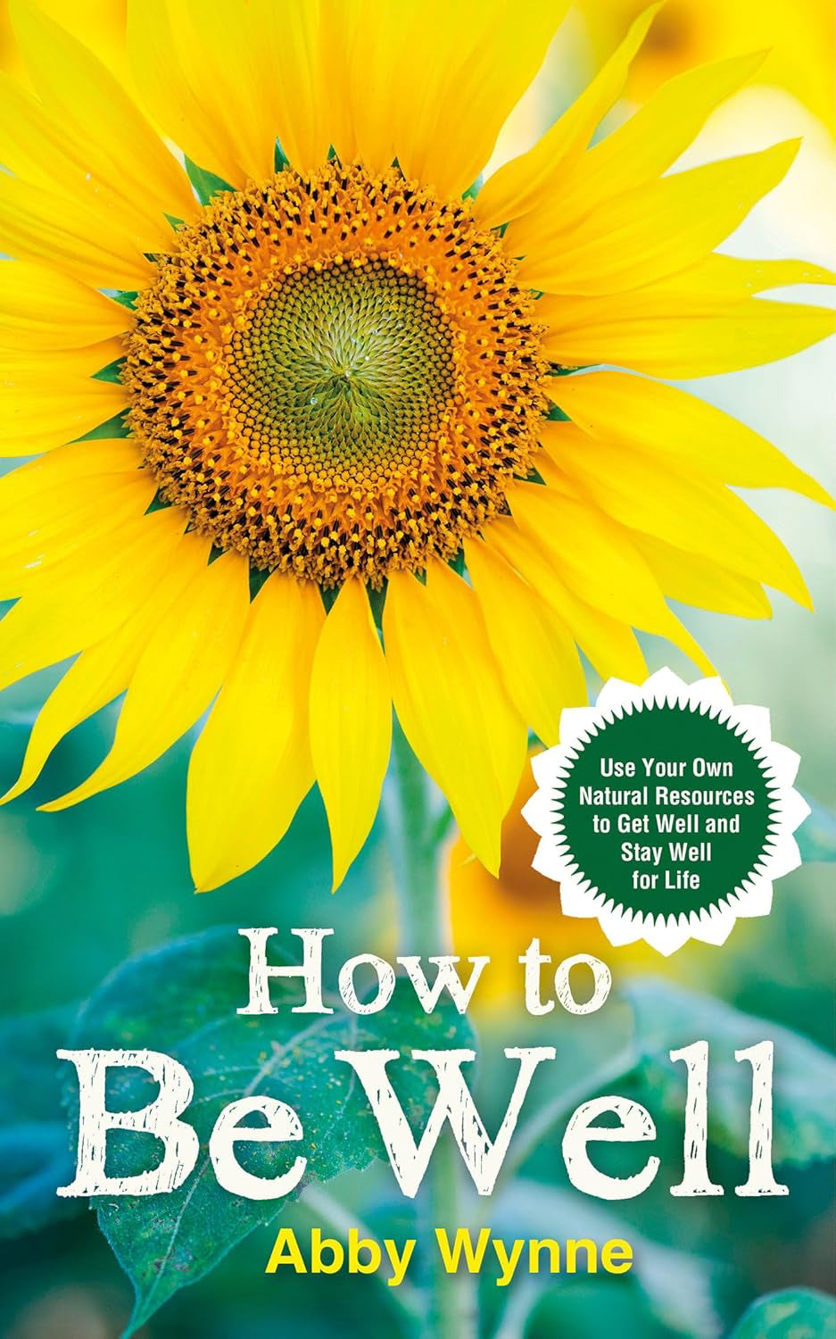 How to Be Well: Use Your Own Natural Resources to Get Well and Stay Well for Life Paperback by Abby Wynne £2 OFF RRP