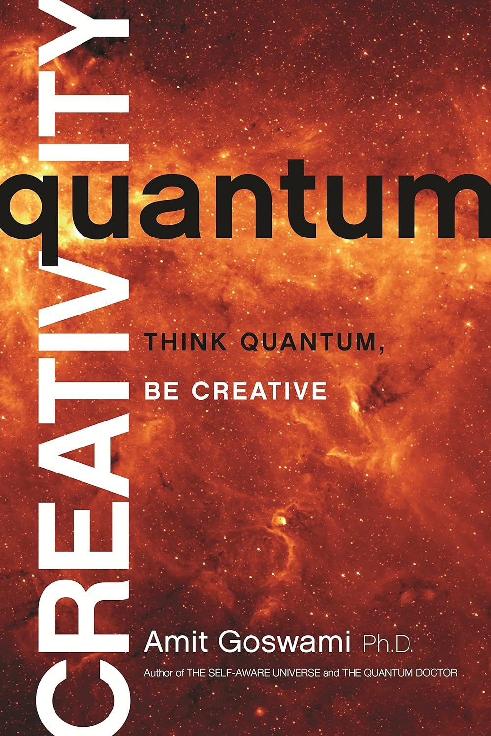 Quantum Creativity: Think Quantum, Be Creative Paperback by Amit Goswami £2 OFF RRP