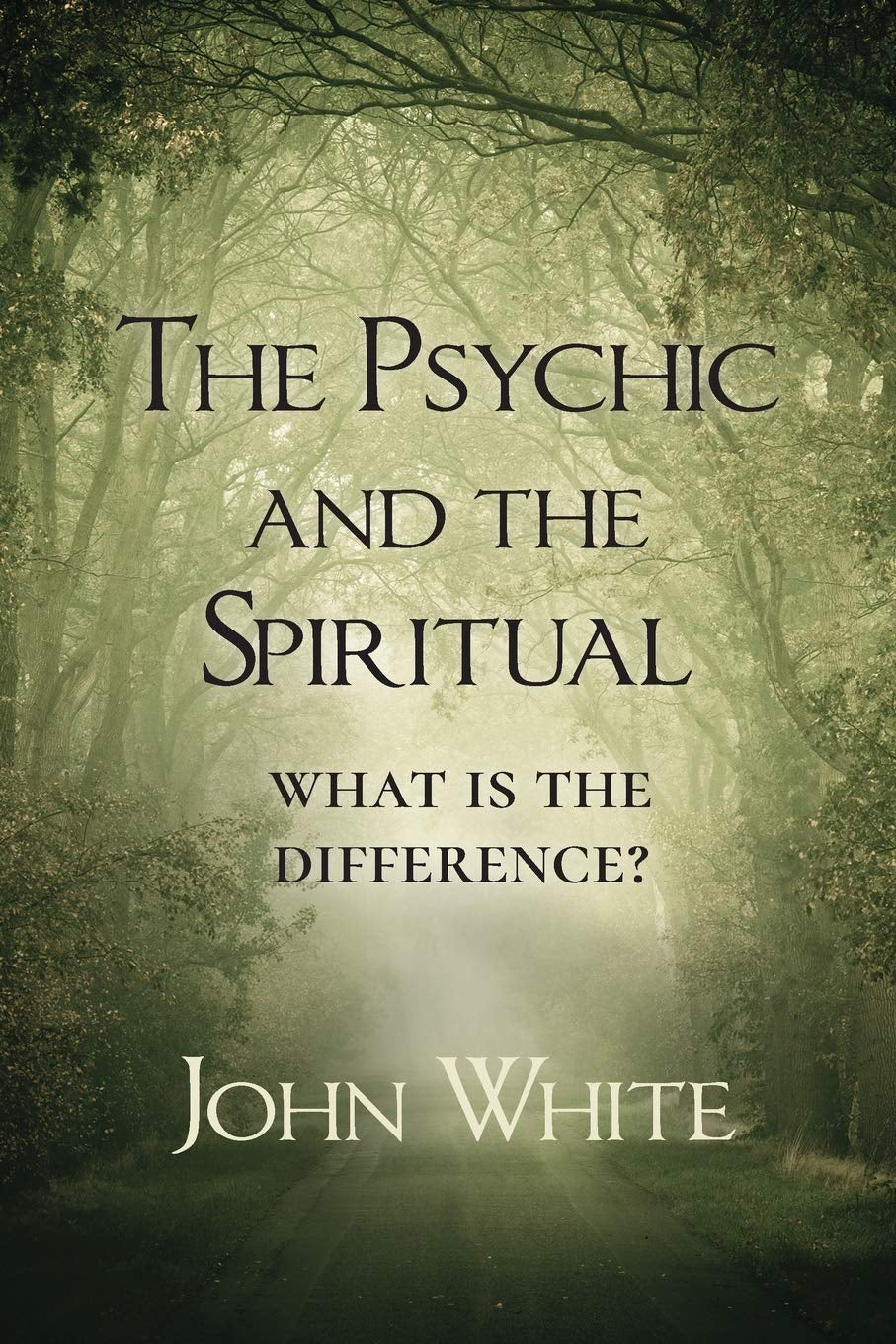 The Psychic and the Spiritual: What is the Difference? Paperback By John White